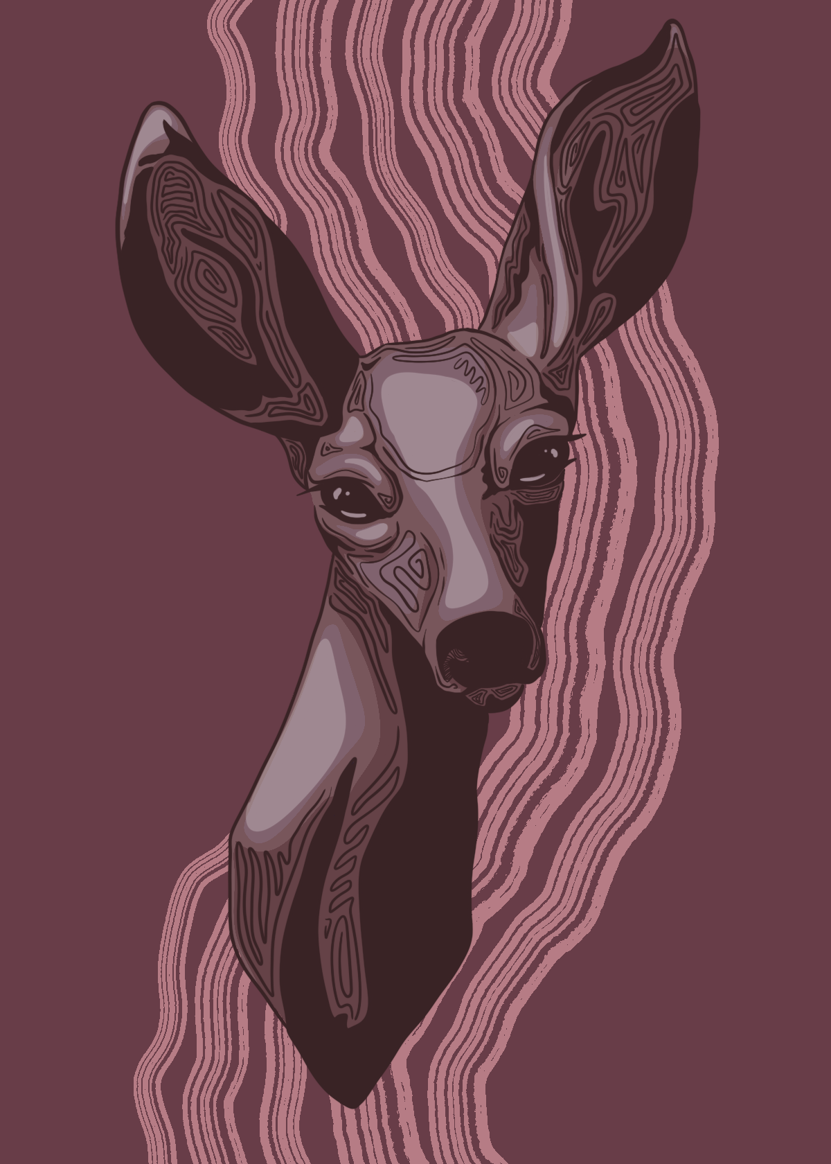 Black Tail Doe Illustration